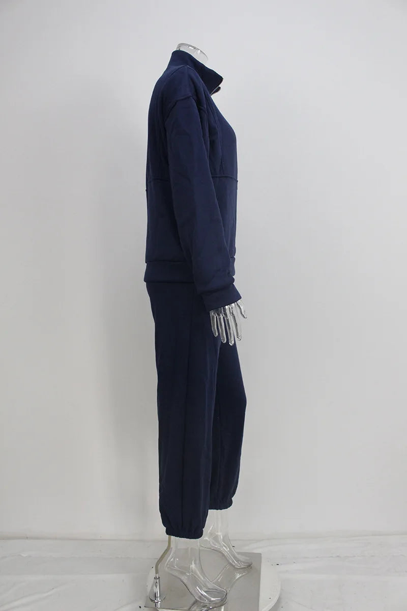 Women Sporty Sweatshirt Sets Two Pieces Sale Stand Collar Zip Long Sleeve Hoodie&High Elastic Sweatpant Suits JSFS-8786