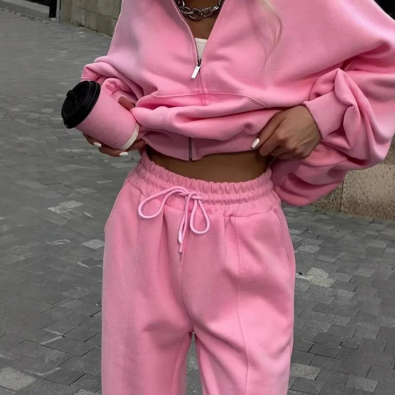 Winter Sweat Suit Set Pink Women Zipper Hoodies 2 Two Pieces Outfit Pants Casual Loose Winter Warm Tracksuits Sport Hooded Women